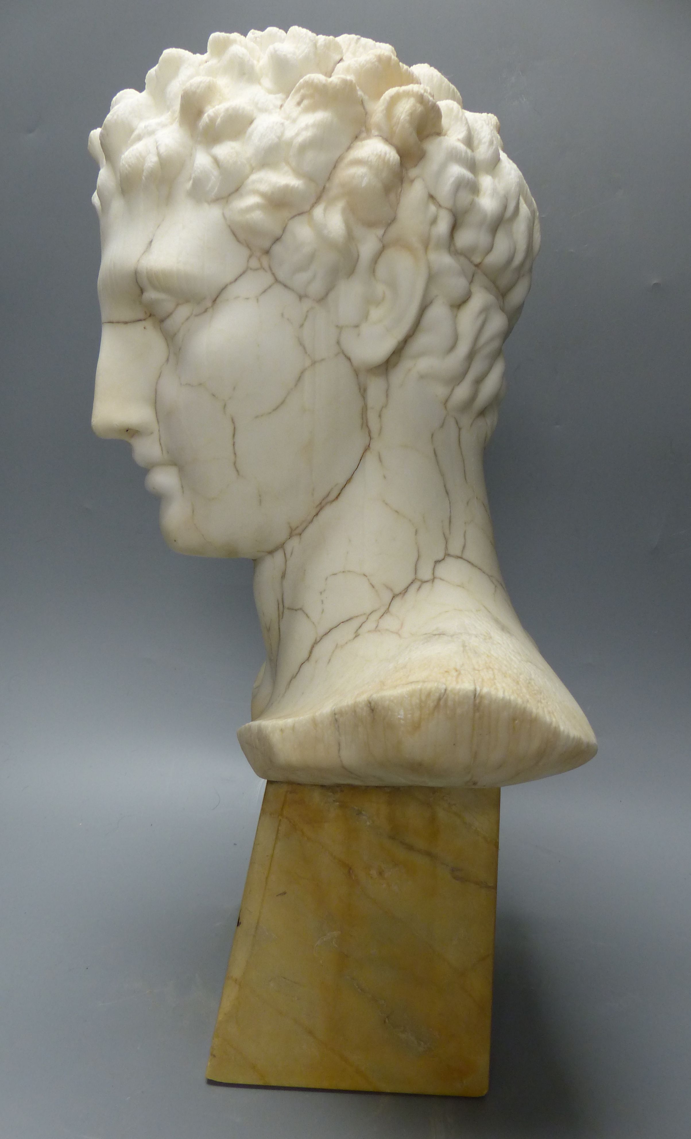 After the antique. A Veined white alabaster head of a Greek god, on a marble plinth, height 46cm